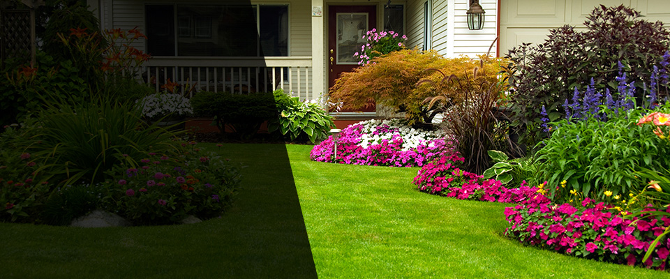 Matamoras Landscapers