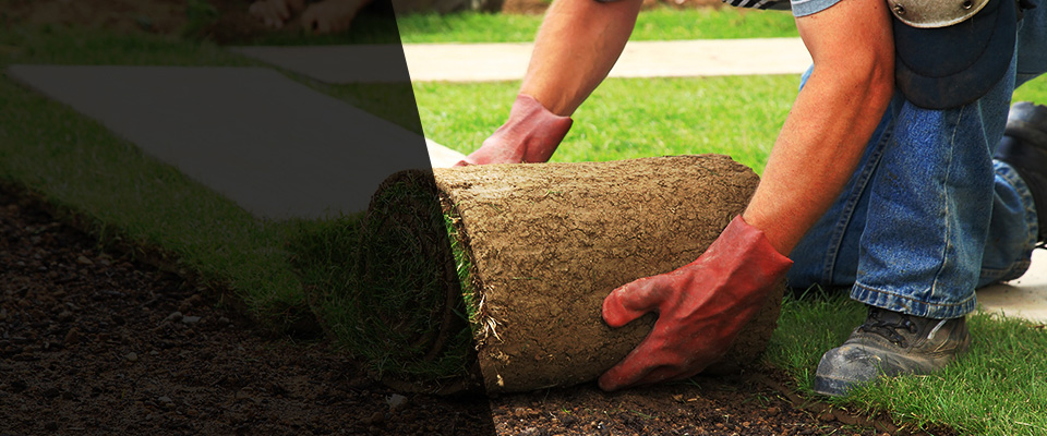 Matamoras Landscapers